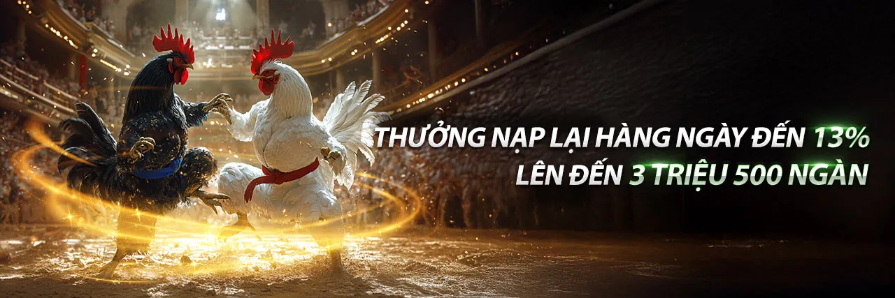 Sân chơi đá gà trực tuyến open 888