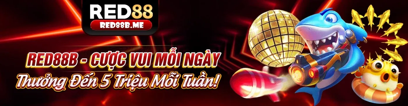 Tuân thủ GDPR và bảo vệ dữ liệu cá nhân tại open 888